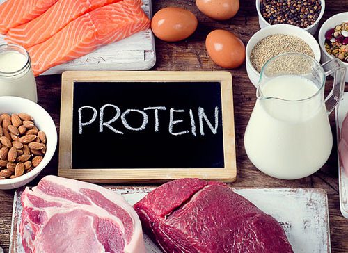 با ذخایر پروتئین آشنا شوید